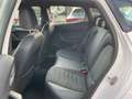 SEAT Ibiza FR beats DSG 1.0 TSI+LED+Navi+Kamera+ACC Weiß - thumbnail 8