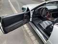 Mercedes-Benz SL 320 SL 320 Wit - thumbnail 17