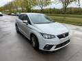 SEAT Ibiza Ibiza 1.6 CR TDI Style (EU6.2) Gris - thumbnail 2