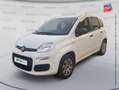 Fiat Panda 1.2 8v 69ch Blanc - thumbnail 1