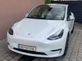 Tesla Model Y Model Y AWD 79kWh Performance Performance Weiß - thumbnail 1