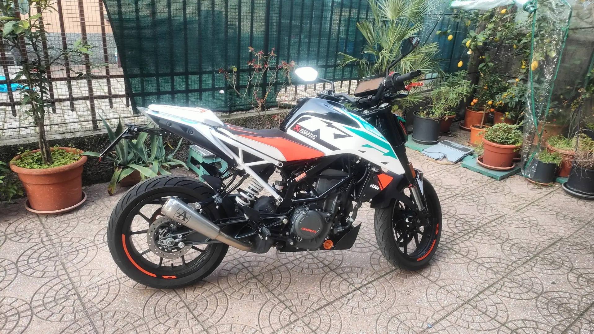 KTM 390 Duke factory Bianco - 2