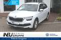 Skoda Kamiq Ambition Kamera ACC LED Weiß - thumbnail 1