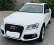 Audi Q5 3,0 TDI quattro clean Diesel S-tronic Weiß - thumbnail 1