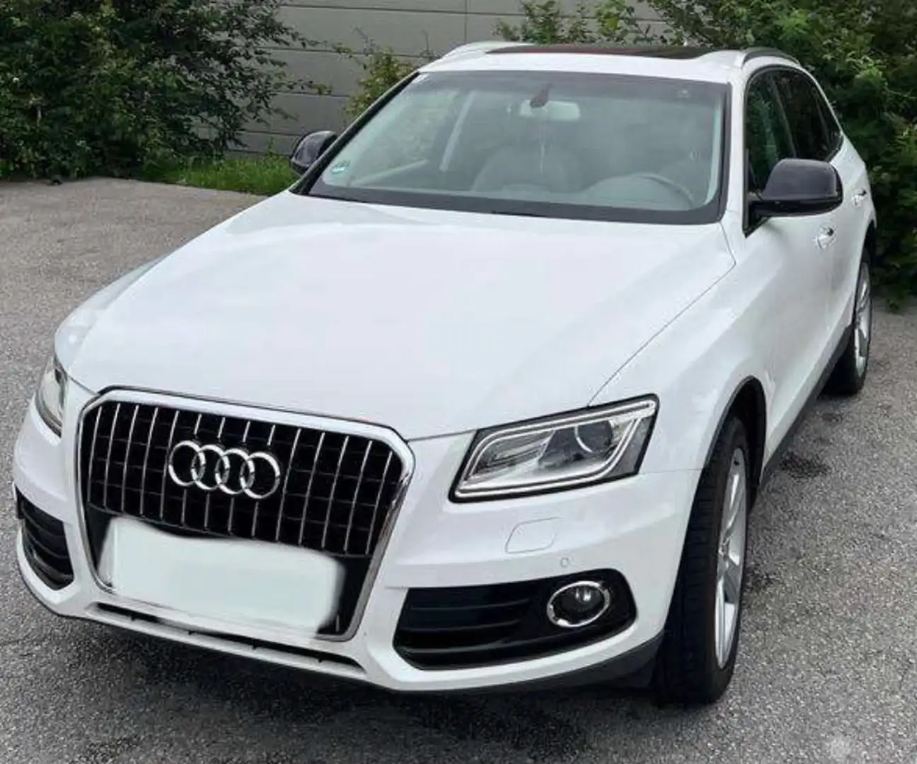 Audi Q5 3,0 TDI quattro clean Diesel S-tronic Weiß - 1