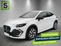 Renault Clio CLIO Evolution TCe 115 Weiß - thumbnail 1