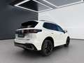 Volkswagen Tiguan 2.0 TDI SCR 4Motion R-Line DSG Weiß - thumbnail 7