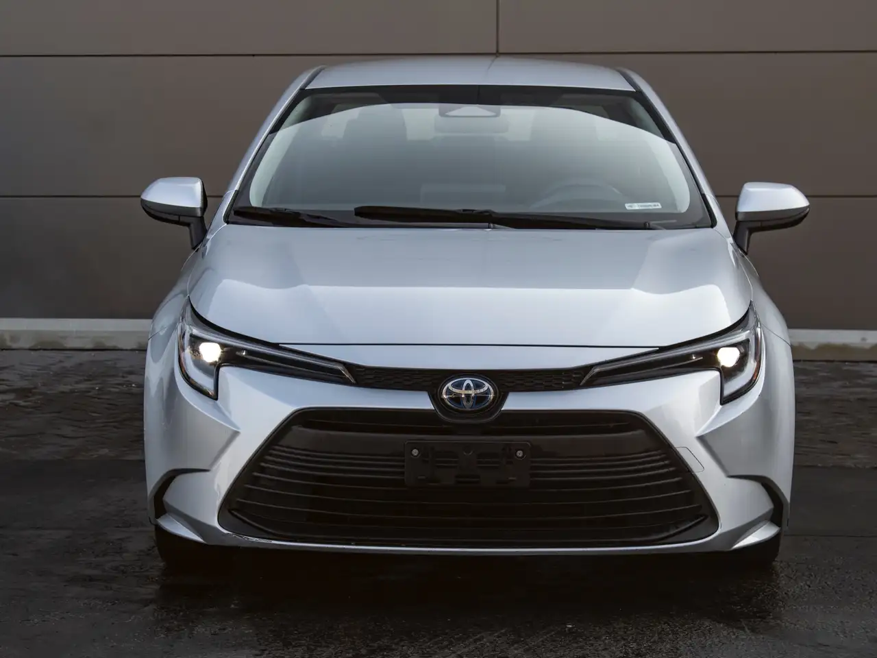 Toyota Corolla снимка Toyota Corolla