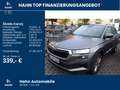 Skoda Karoq 1.5 TSI DSG Selection Navi AHK LED CAM PDC Grau - thumbnail 2