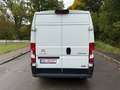 Citroen Jumper 33 L3H2 Control BlueHDi 1,Würth-Schienens Weiß - thumbnail 6