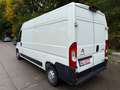 Citroen Jumper 33 L3H2 Control BlueHDi 1,Würth-Schienens Weiß - thumbnail 5