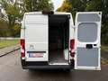 Citroen Jumper 33 L3H2 Control BlueHDi 1,Würth-Schienens Weiß - thumbnail 19