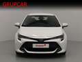Toyota Corolla Hybrid Business Plus Blanco - thumbnail 5