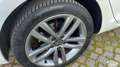 Volkswagen Golf Variant 1.6 tdi Executive 115cv dsg Blanc - thumbnail 3