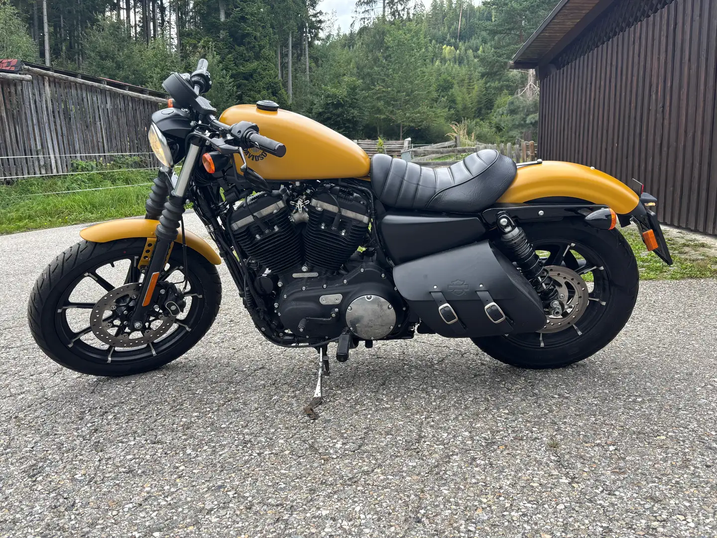 Harley-Davidson Sportster XL 883 Gelb - 1