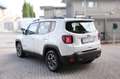 Jeep Renegade 1.6 MultiJet DDCT Business 2wd 120 CV Bianco - thumbnail 5