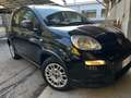 Fiat Panda Panda III 2023 1.0 firefly hybrid s AZIENDALE IVA Nero - thumbnail 3