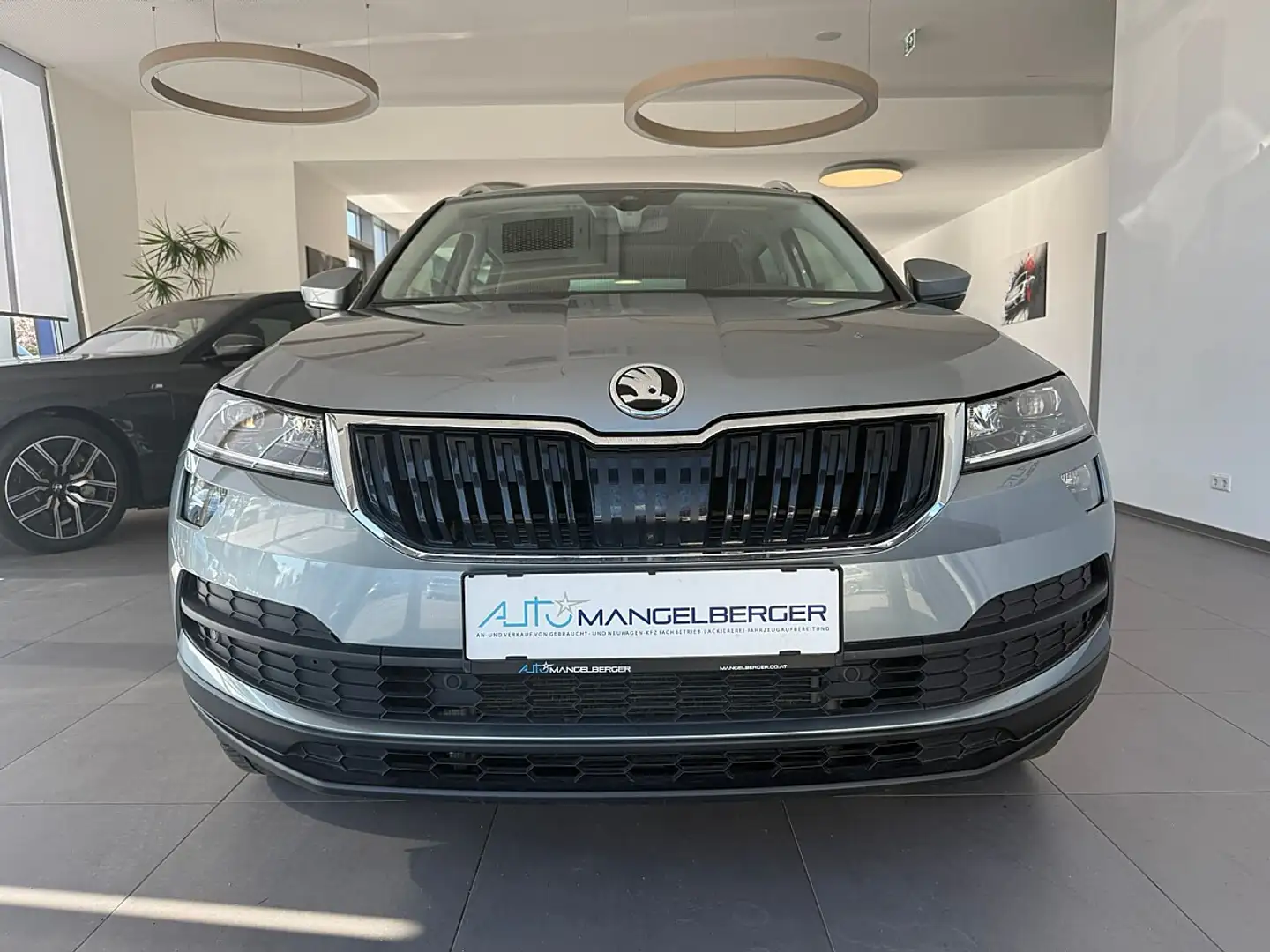 Skoda Karoq 2,0 TDI SCR 4x4 Ambition SC DSG, Panoramadach, ... Grau - 2