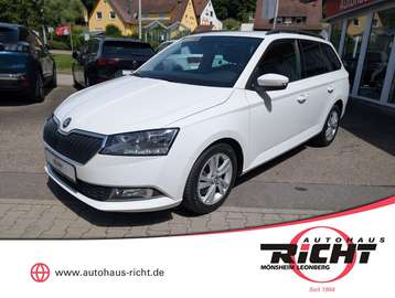1.0 TSI Combi DSG App SHZ PDC Kessy