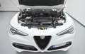 Alfa Romeo Stelvio 2.2 Veloce Q4 210 Aut. Blanc - thumbnail 42