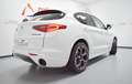 Alfa Romeo Stelvio 2.2 Veloce Q4 210 Aut. Blanc - thumbnail 48