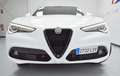 Alfa Romeo Stelvio 2.2 Veloce Q4 210 Aut. Blanc - thumbnail 44