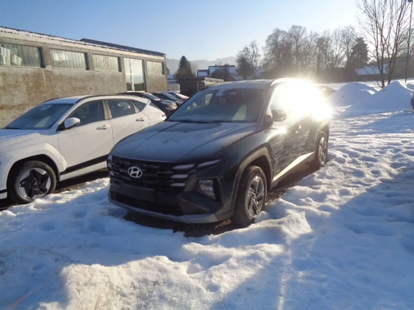 Hyundai TUCSON 1,6 T-GDI HEV 2WD Jubilé Aut. Grün - 2