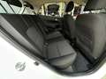 Kia Picanto 1.0 CVVT ComfortLine Blanc - thumbnail 15