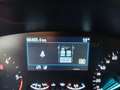 Ford Focus Focus SW 1.5 ecoblue ST-Line Design 115cv auto Blau - thumbnail 22