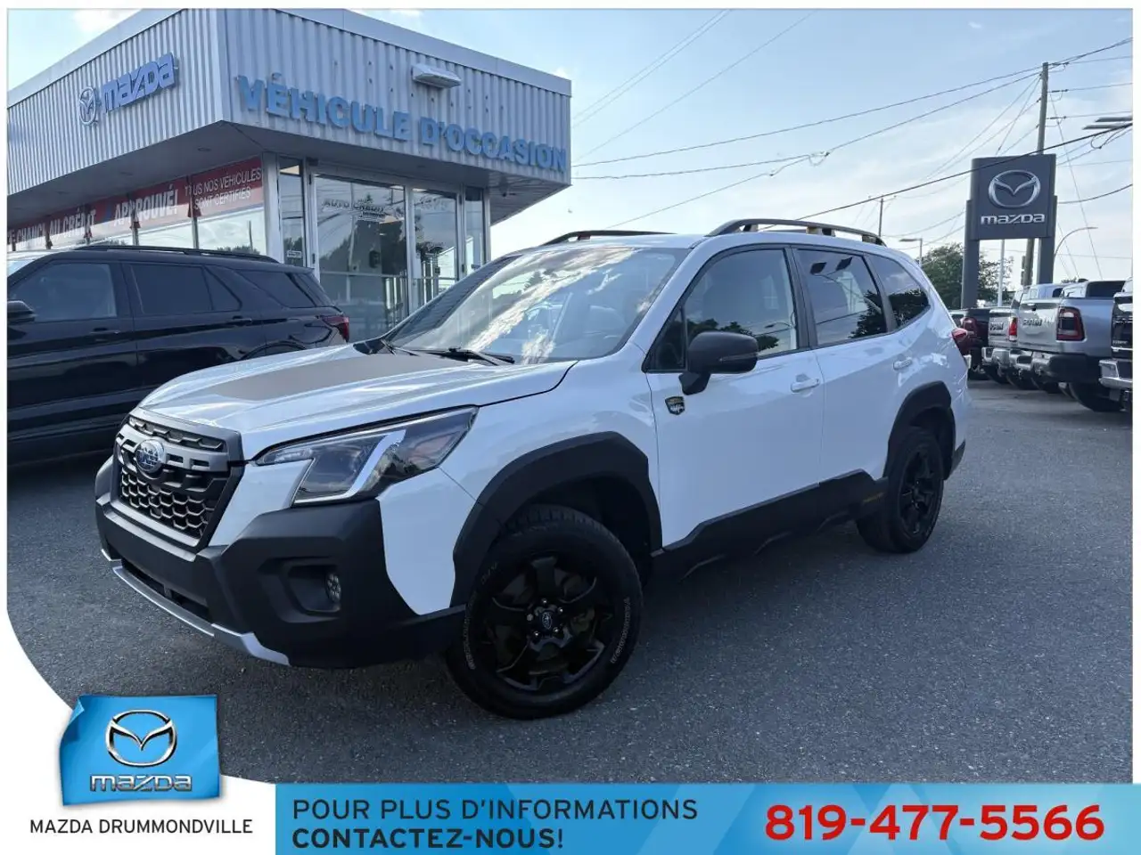 2023 Subaru Forester