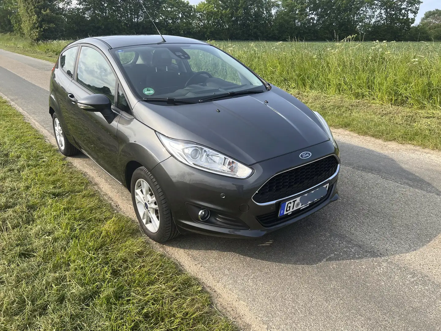 Ford Fiesta Fiesta 1.0 EcoBoost Start-Stop Celebration Grey - 2