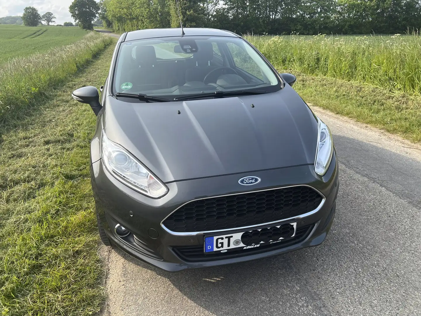 Ford Fiesta Fiesta 1.0 EcoBoost Start-Stop Celebration Grey - 1