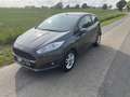 Ford Fiesta Fiesta 1.0 EcoBoost Start-Stop Celebration Grey - thumbnail 3