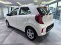 Kia Picanto Picanto 1.0i Pulse AMT ISG Wit - thumbnail 6