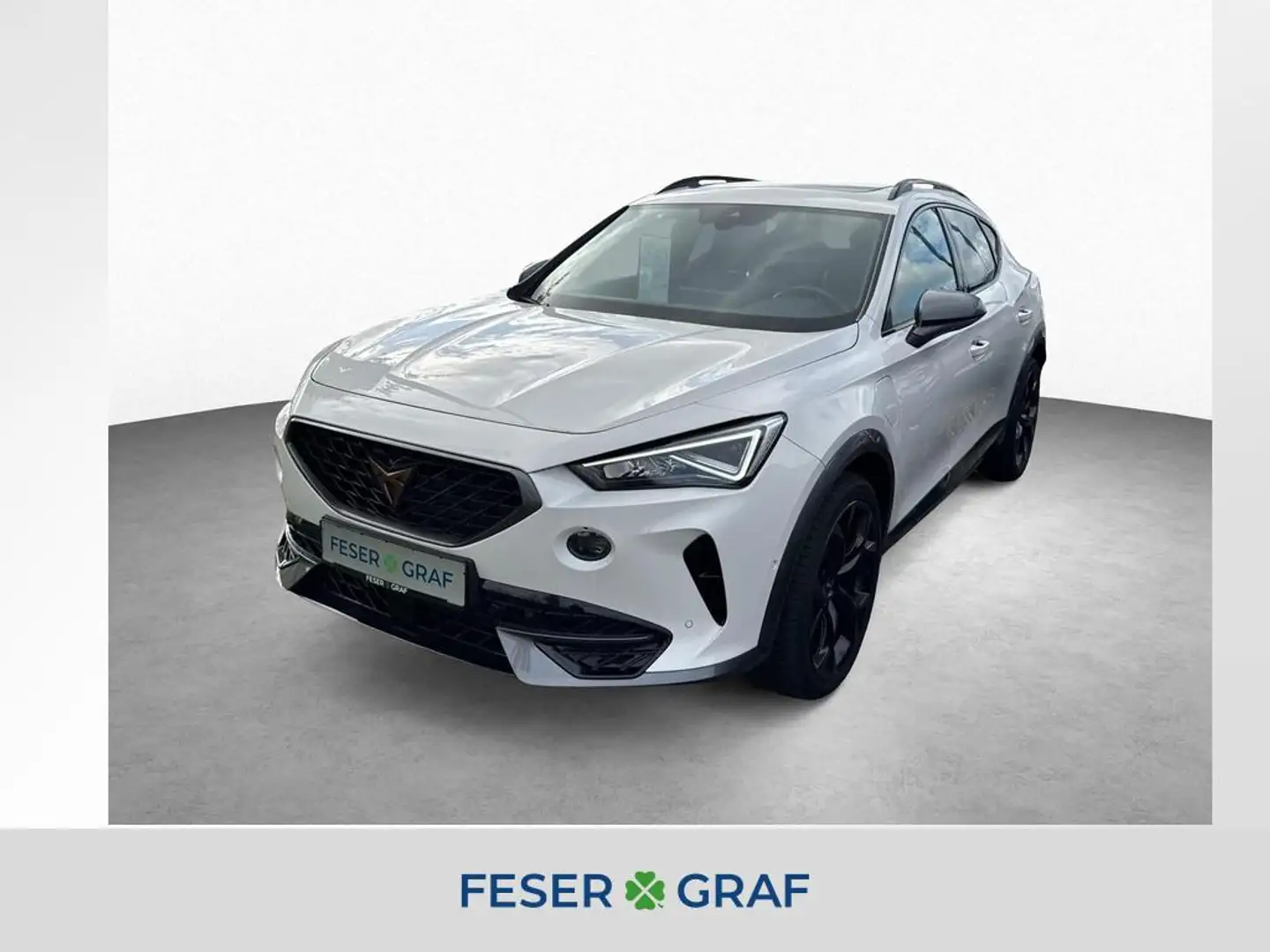CUPRA Formentor VZ 1.4 TSI e-Hybrid|AHK|Pano|Full Link Wit - 1