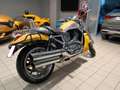 Harley-Davidson V-Rod žuta - thumbnail 1