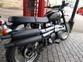 Triumph Scrambler Scrambler 900 in schwarz crna - thumbnail 7