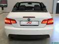 BMW 320 320 d Cabrio M SPORT MEMORY,KEYLESS,H/K,NAVIPROF Weiß - thumbnail 6