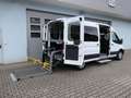 Ford Transit 350 L3/8 Sitze/5 Rollstuhlpl./Smartfloor/Garantie* Wit - thumbnail 12