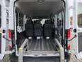 Ford Transit 350 L3/8 Sitze/5 Rollstuhlpl./Smartfloor/Garantie* Wit - thumbnail 14