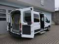 Ford Transit 350 L3/8 Sitze/5 Rollstuhlpl./Smartfloor/Garantie* Wit - thumbnail 5