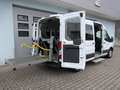 Ford Transit 350 L3/8 Sitze/5 Rollstuhlpl./Smartfloor/Garantie* Wit - thumbnail 8