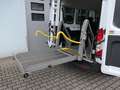 Ford Transit 350 L3/8 Sitze/5 Rollstuhlpl./Smartfloor/Garantie* Wit - thumbnail 9