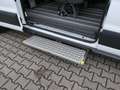 Ford Transit 350 L3/8 Sitze/5 Rollstuhlpl./Smartfloor/Garantie* Wit - thumbnail 21