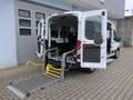 Ford Transit 350 L3/8 Sitze/5 Rollstuhlpl./Smartfloor/Garantie* Wit - thumbnail 13