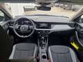 Skoda Kamiq 1.0 TSI 115 CV DSG Black Dots Blu/Azzurro - thumbnail 12