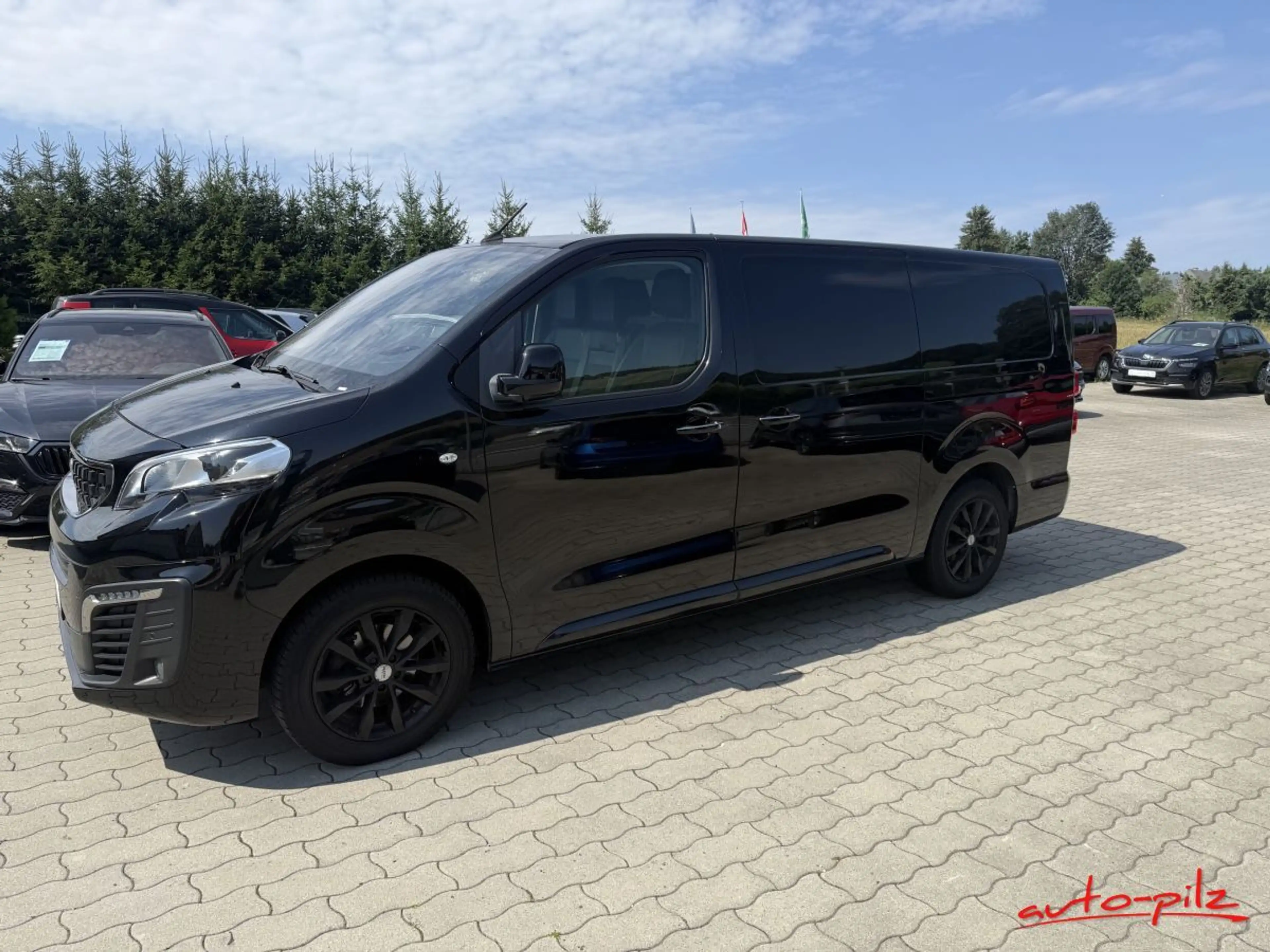 Peugeot Expert Kasten Asphalt L3 Xenon AHZV Standhzg — photo 4