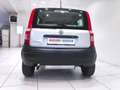Fiat Panda Panda 1.2 4x4*4x4* Grigio - thumbnail 17
