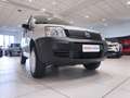 Fiat Panda Panda 1.2 4x4*4x4* Grigio - thumbnail 10
