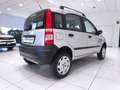 Fiat Panda Panda 1.2 4x4*4x4* Grigio - thumbnail 19
